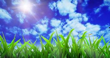 青草国产视频,探寻自然之美与生态和谐  第3张