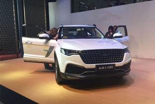 国产四虎  第1张